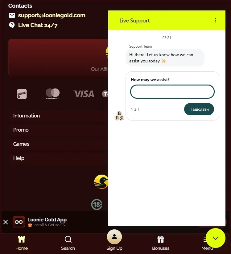 Contact options for support enquiries at LoonieGold Casino